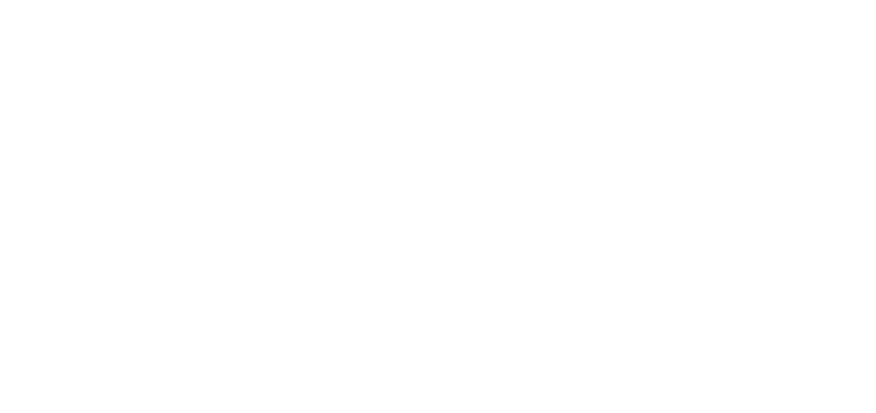 Vunic Valor Único